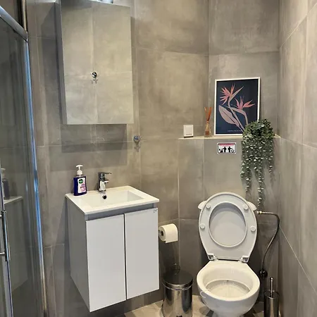 Apartment Ikarus *